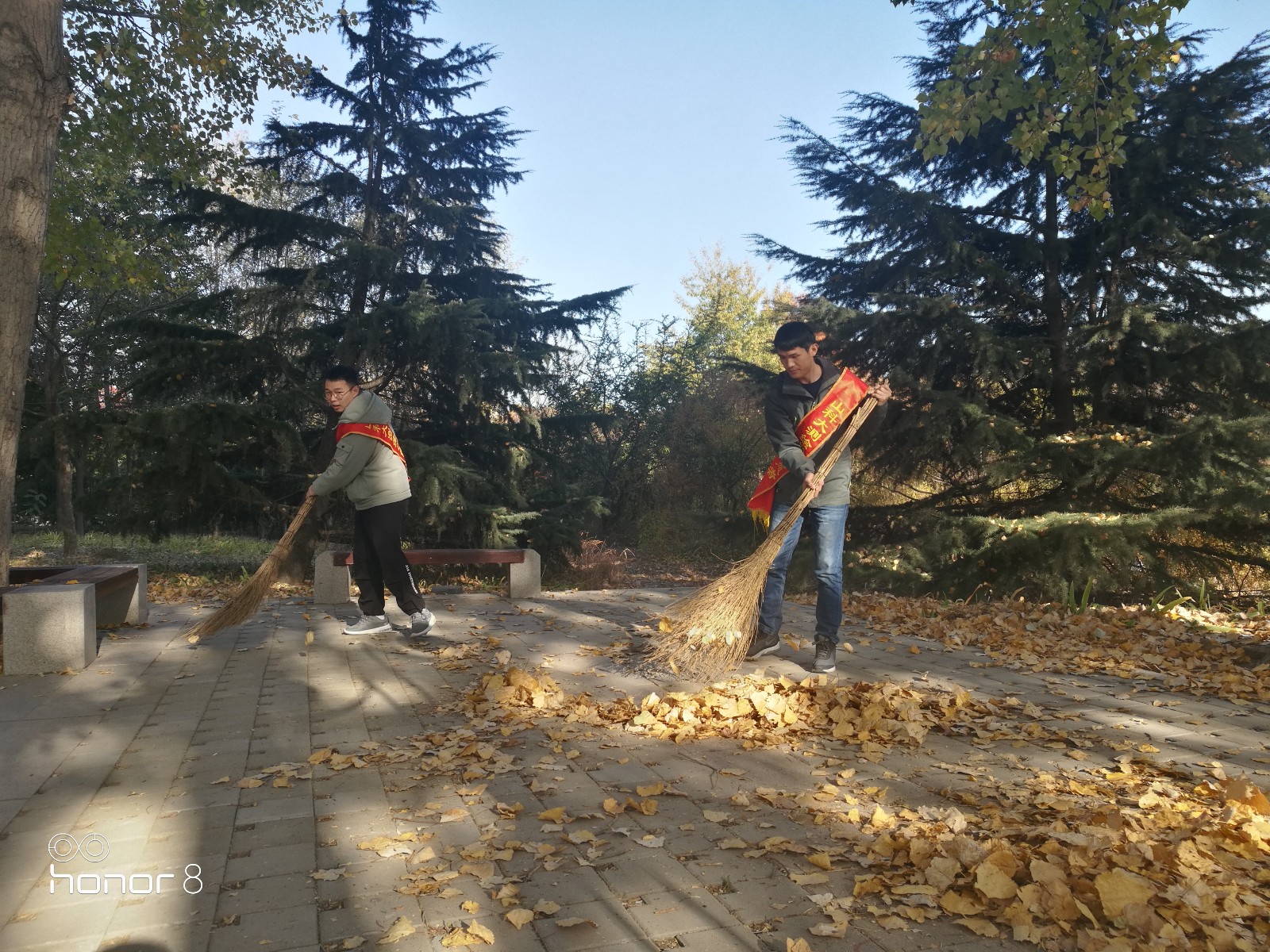 1573437663897014.jpg 1573437663897014.jpg